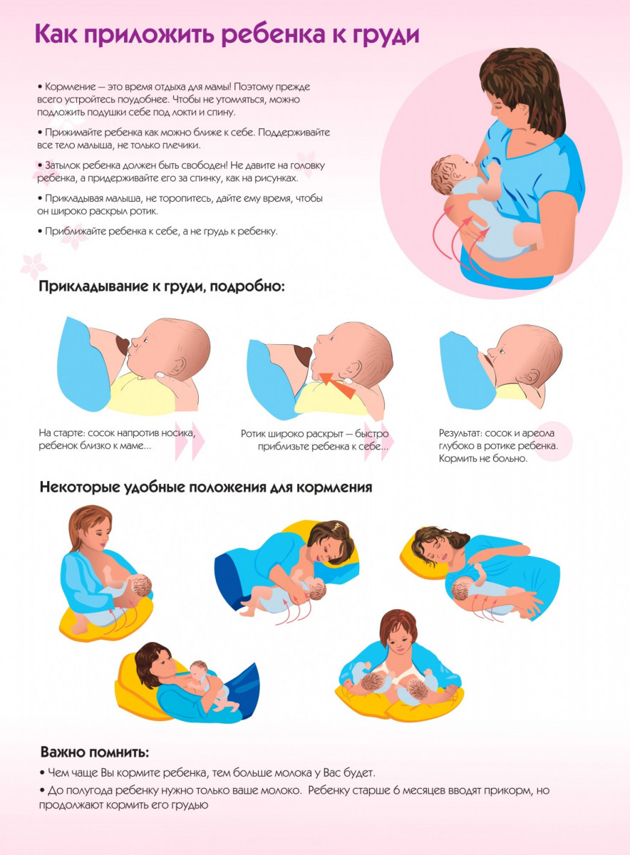 Техника вскармливания. Как приложить новорожденного ребенка при кормлении правильно. Как правильно прикладывать ребенка при грудном вскармливании. Как правильно класть ребенка при кормлении грудью. Как правильно прикладывать малыша к груди для кормления.