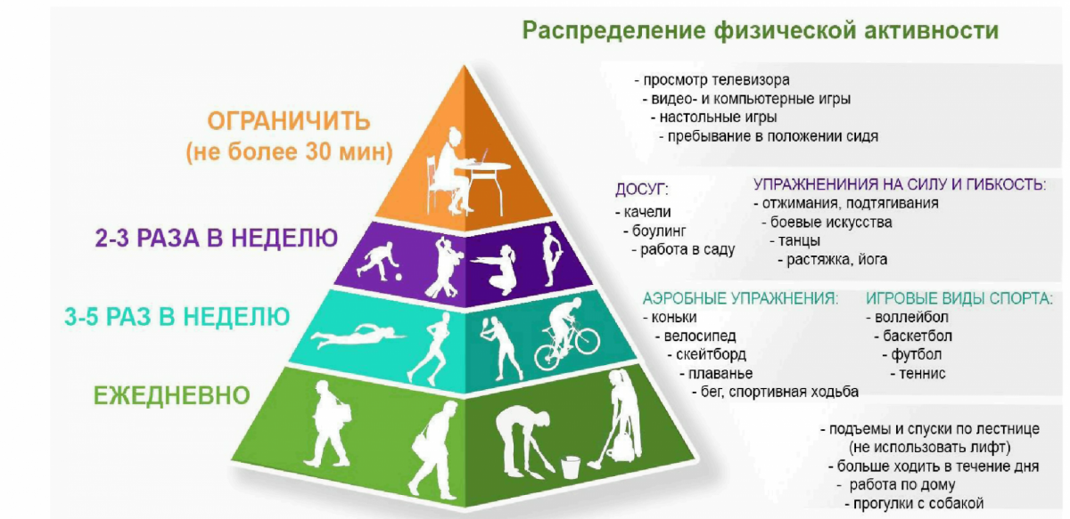 Варианты активности. Пирамида физической активности. Виды физической активности. Пирамида двигательной активности. Распределение физической активности.