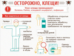 Влажно и тепло? То, что любят клещи!