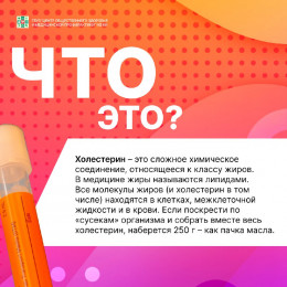 Полезная информация о холестерине Полезная информация о холестерине