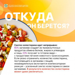 Полезная информация о холестерине Полезная информация о холестерине