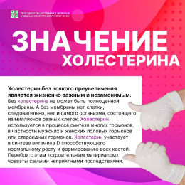 Полезная информация о холестерине Полезная информация о холестерине