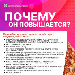 Полезная информация о холестерине Полезная информация о холестерине