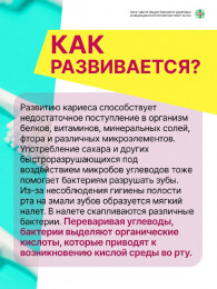 Профилактика кариеса