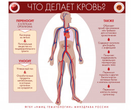 Заболевания системы крови
