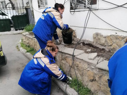 Сотрудники городской больницы Анапы приняли участие во Всероссийском субботнике
