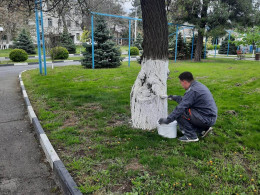 Сотрудники городской больницы Анапы приняли участие во Всероссийском субботнике