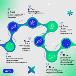 Национальный календарь профилактических прививок. Нет, не слышали об этом!