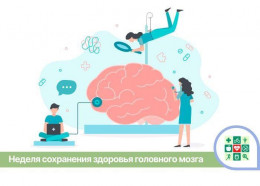 Неделя сохранения здоровья головного мозга стартовала на Кубани Неделя сохранения здоровья головного мозга стартовала на Кубани