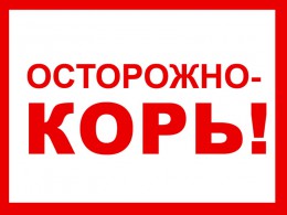 Корь: памятка для населения
