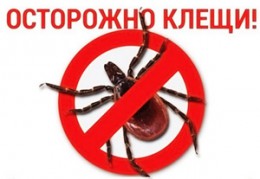 На Кубань пришла весна, а значит проснулись клещи