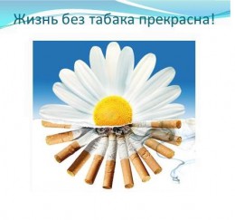 Стимулы для отказа от курения Стимулы для отказа от курения