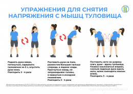 Офисная гимнастика Офисная гимнастика