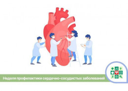 Неделя профилактики сердечно-сосудистых заболеваний стартует на Кубани Неделя профилактики сердечно-сосудистых заболеваний стартует на Кубани