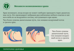 Ночной враг: почему возникает храп и как с ним справиться? Ночной враг: почему возникает храп и как с ним справиться?