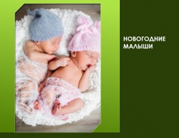Новогодние малыши Новогодние малыши