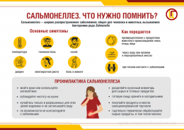 Как избежать заражения сальмонеллезом?