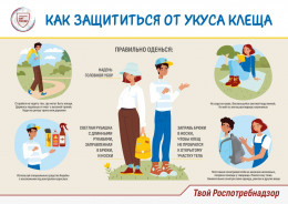 Как защитить себя от клещей Как защитить себя от клещей