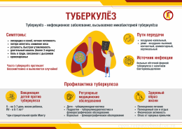 Эта коварная палочка Коха Эта коварная палочка Коха
