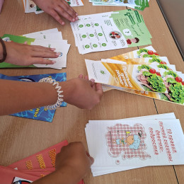 Курс на здоровье: в станице Гостагаевской для школьников провели интерактивную игру «Мы — за ЗОЖ!»