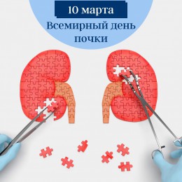 10 марта- Всемирный день почки