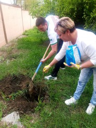Озеленение территории городской больницы Анапы
