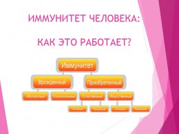 ИММУНИТЕТ ЧЕЛОВЕКА: КАК ЭТО РАБОТАЕТ ИММУНИТЕТ ЧЕЛОВЕКА: КАК ЭТО РАБОТАЕТ