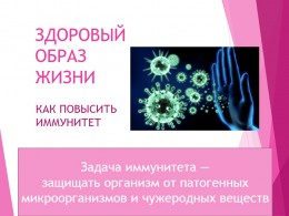 Как повысить иммунитет Как повысить иммунитет